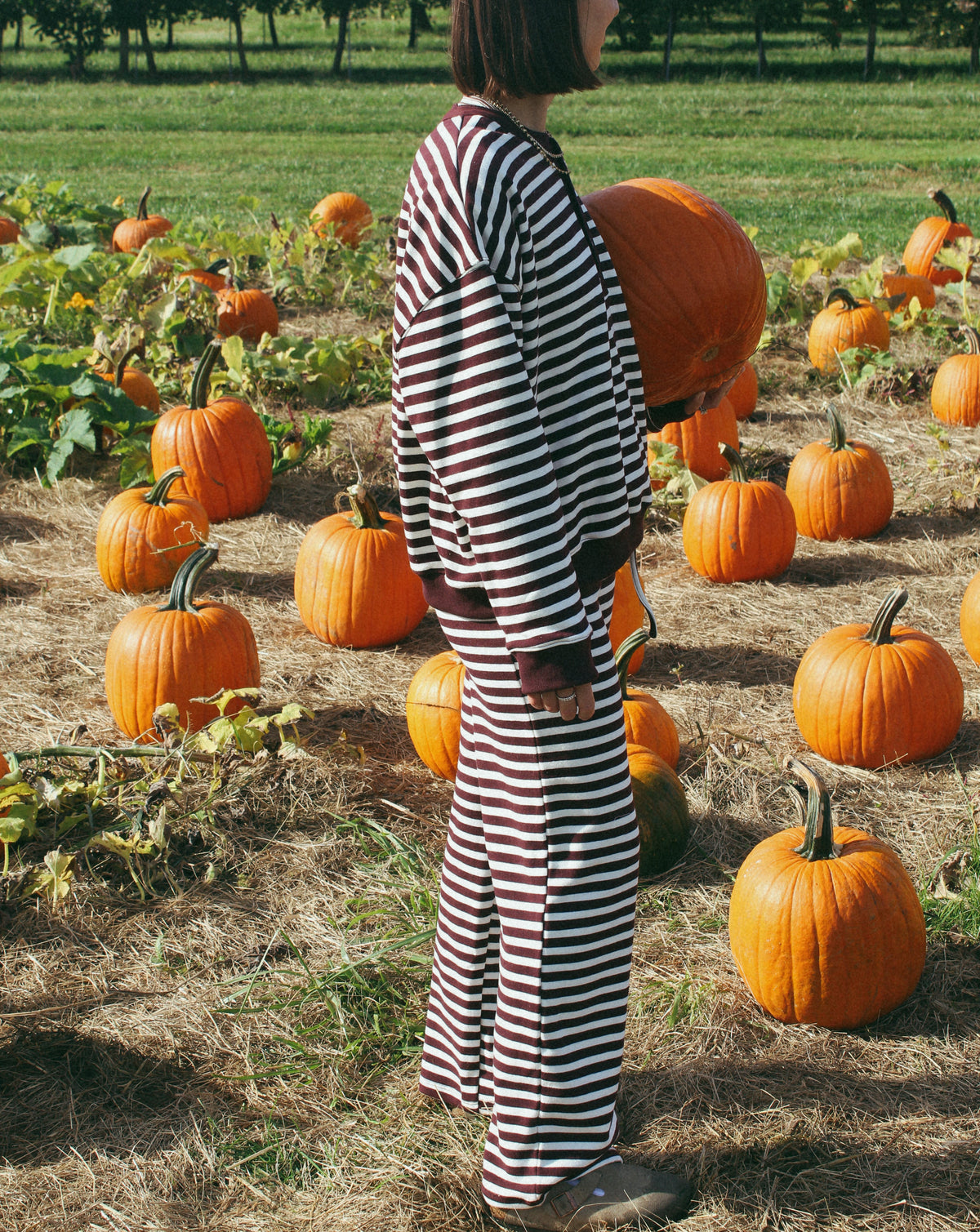French Terry Stripe Bottom