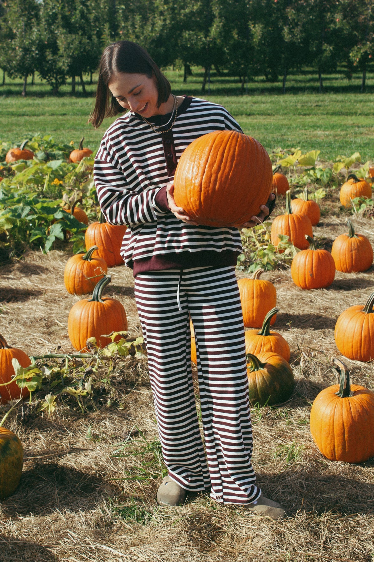 French Terry Stripe Bottom