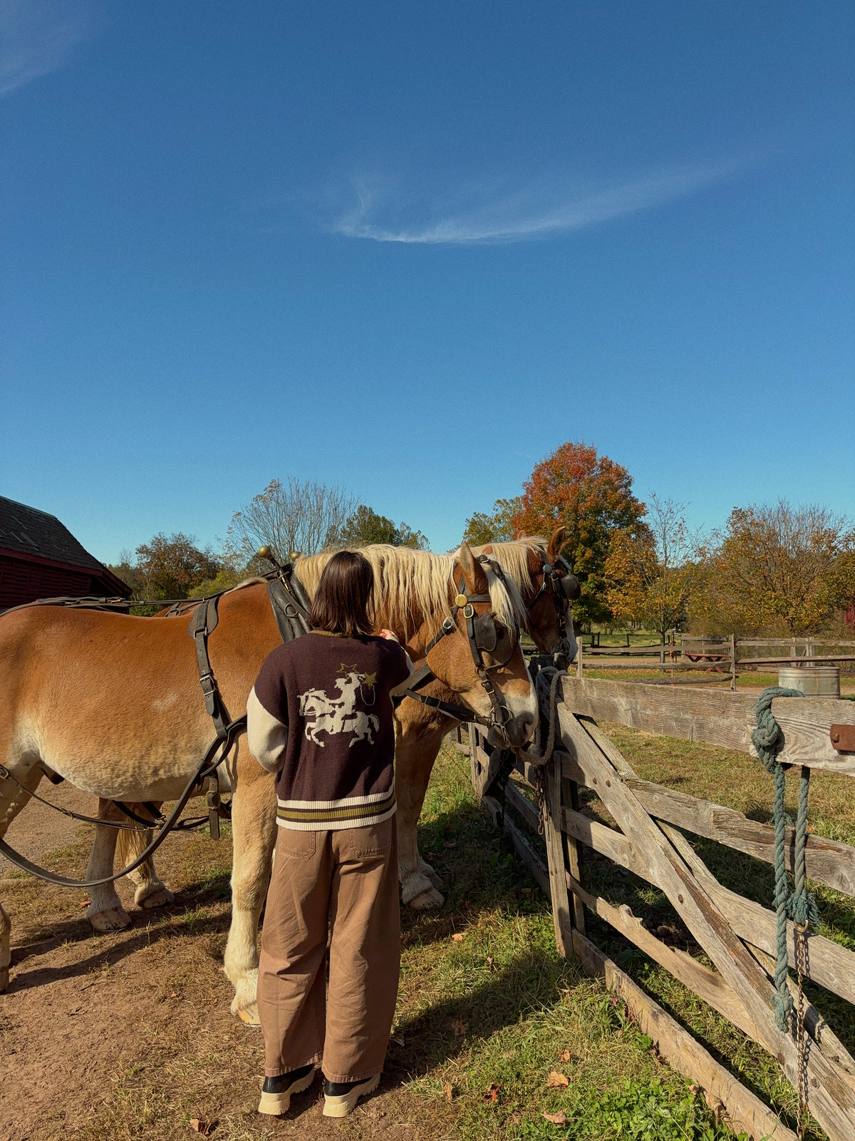 Equestrian Zip Up